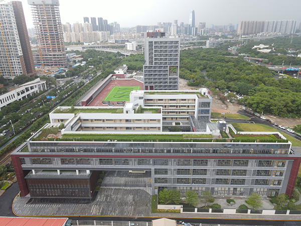 深圳国王国际学校实际效果